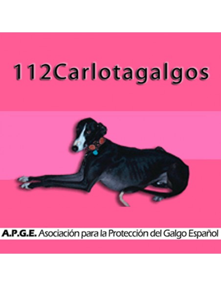 112 Carlota Galgos