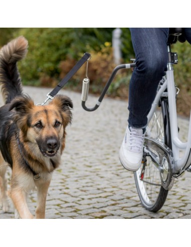 Set para pasear en bici con su perro
