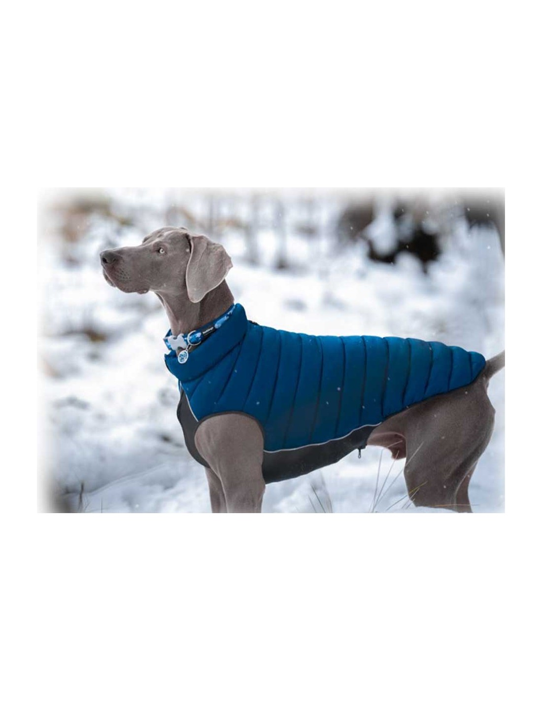 Abrigo reversible para perro Dingo Puffer Jacket