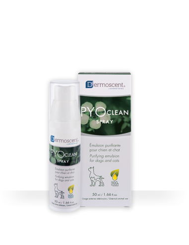Pyoclean Spray para perros y gatos 50 ml, Dermoscent