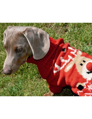 jersey-perro-navidad