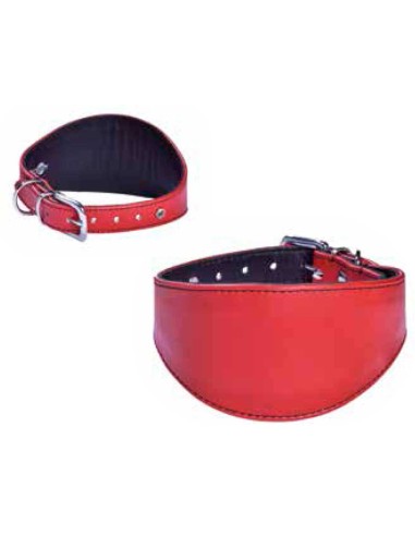 collar-piel-galgo