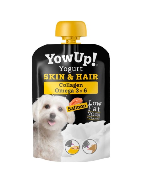 Yogur para perro Skin and Hair