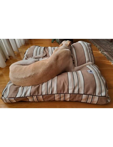 cama-especial-galgo